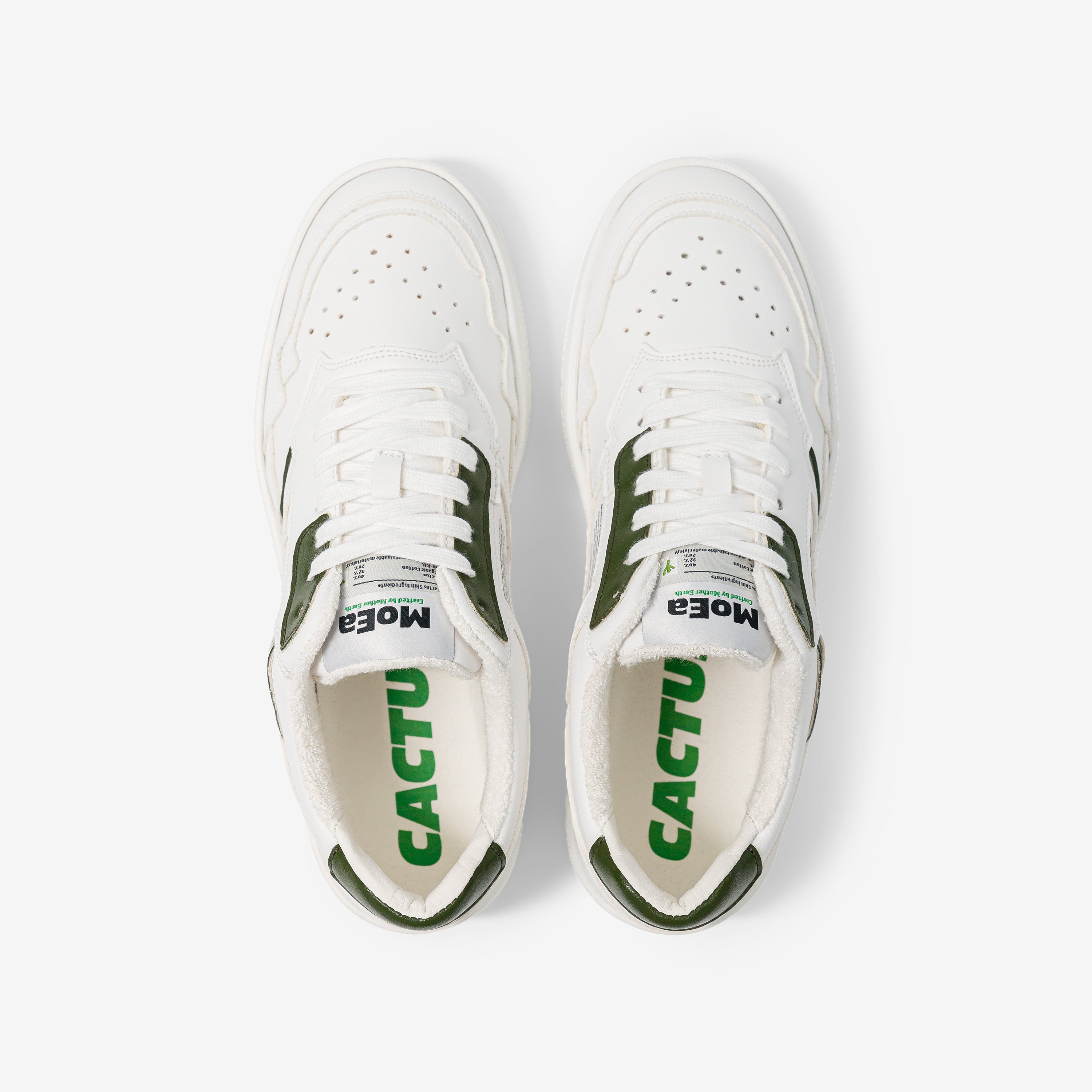 GEN1 - Cactus White & Green