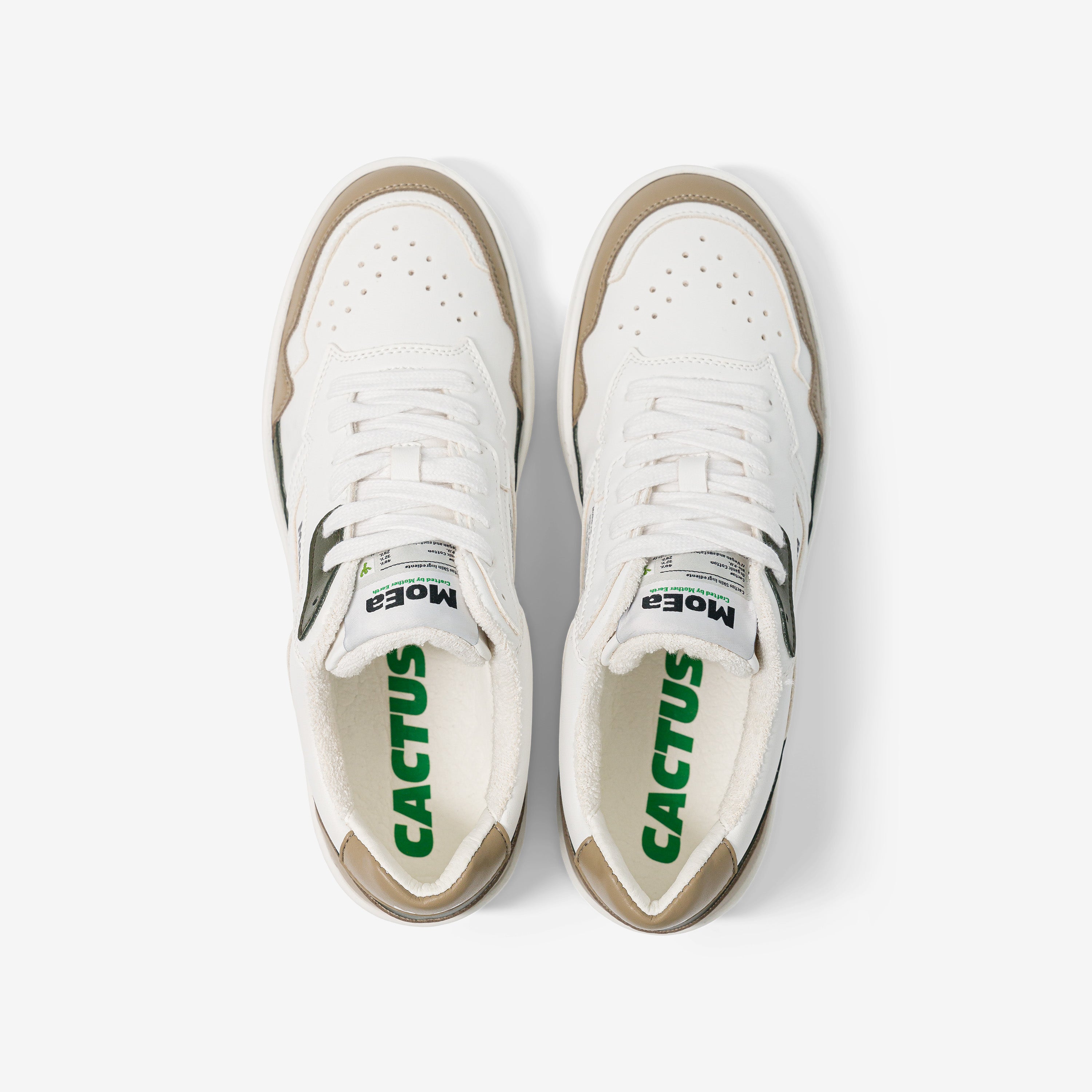 GEN1 - Cactus Tricolor