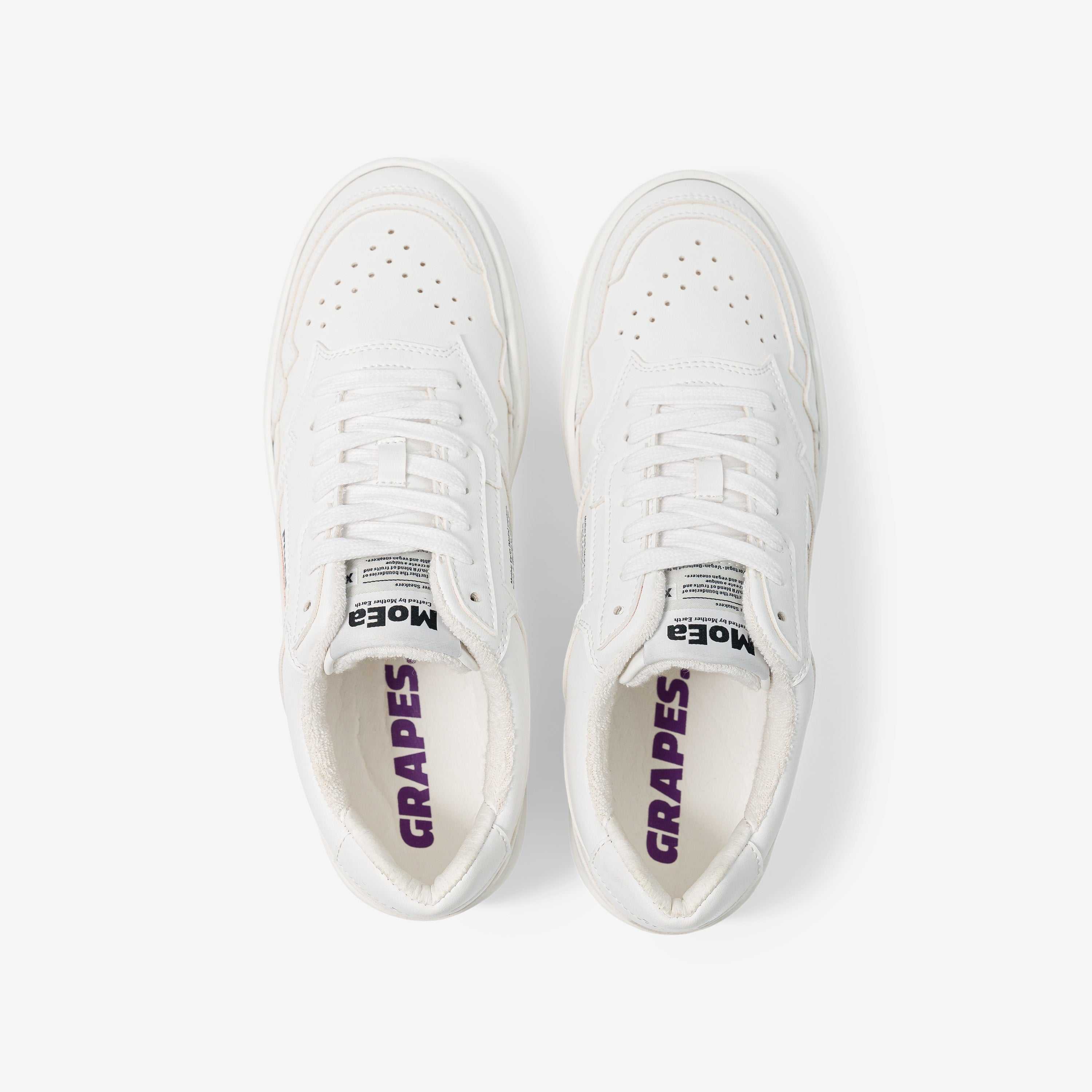 GEN1 - Grapes Full White