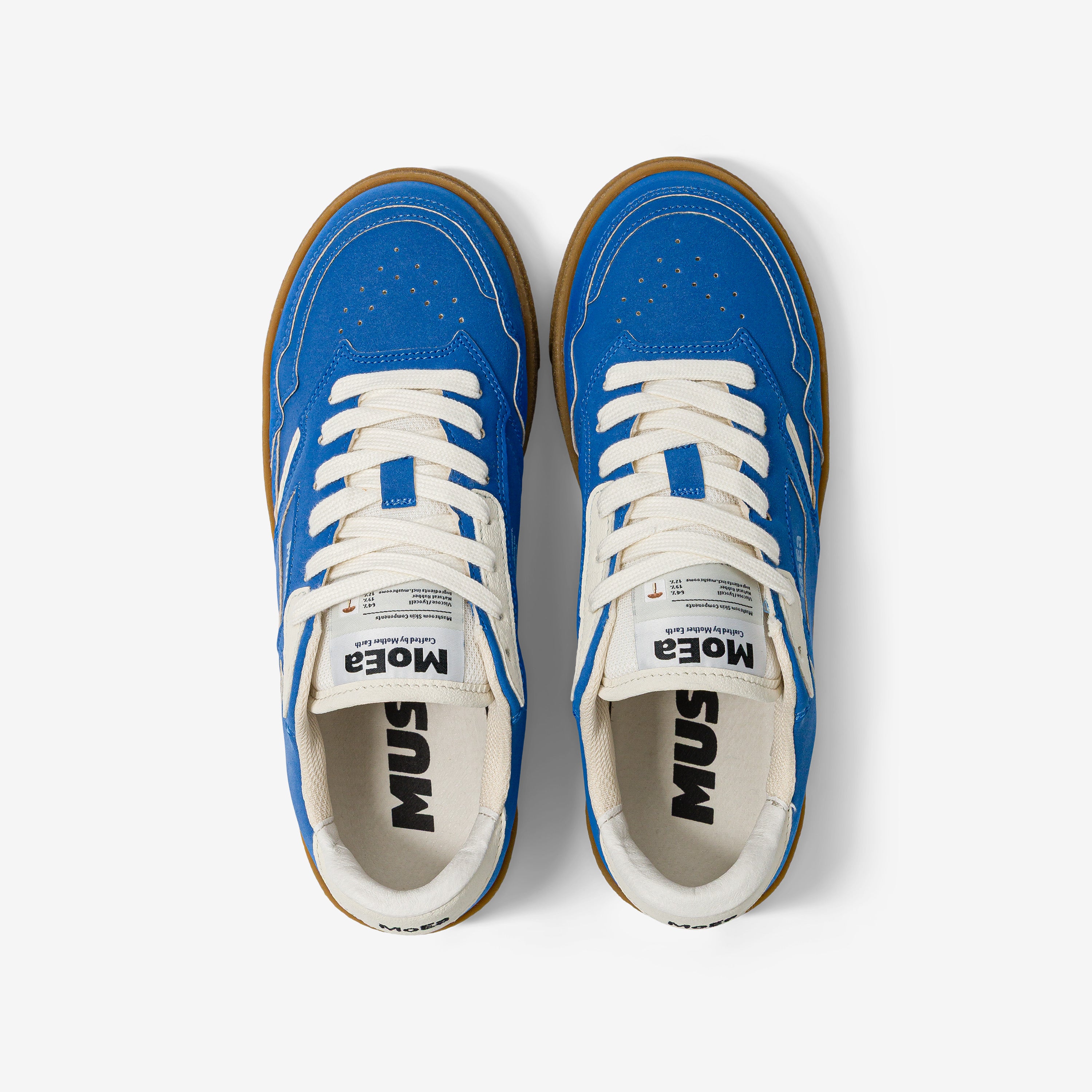 GEN9 - Mushroom Blue