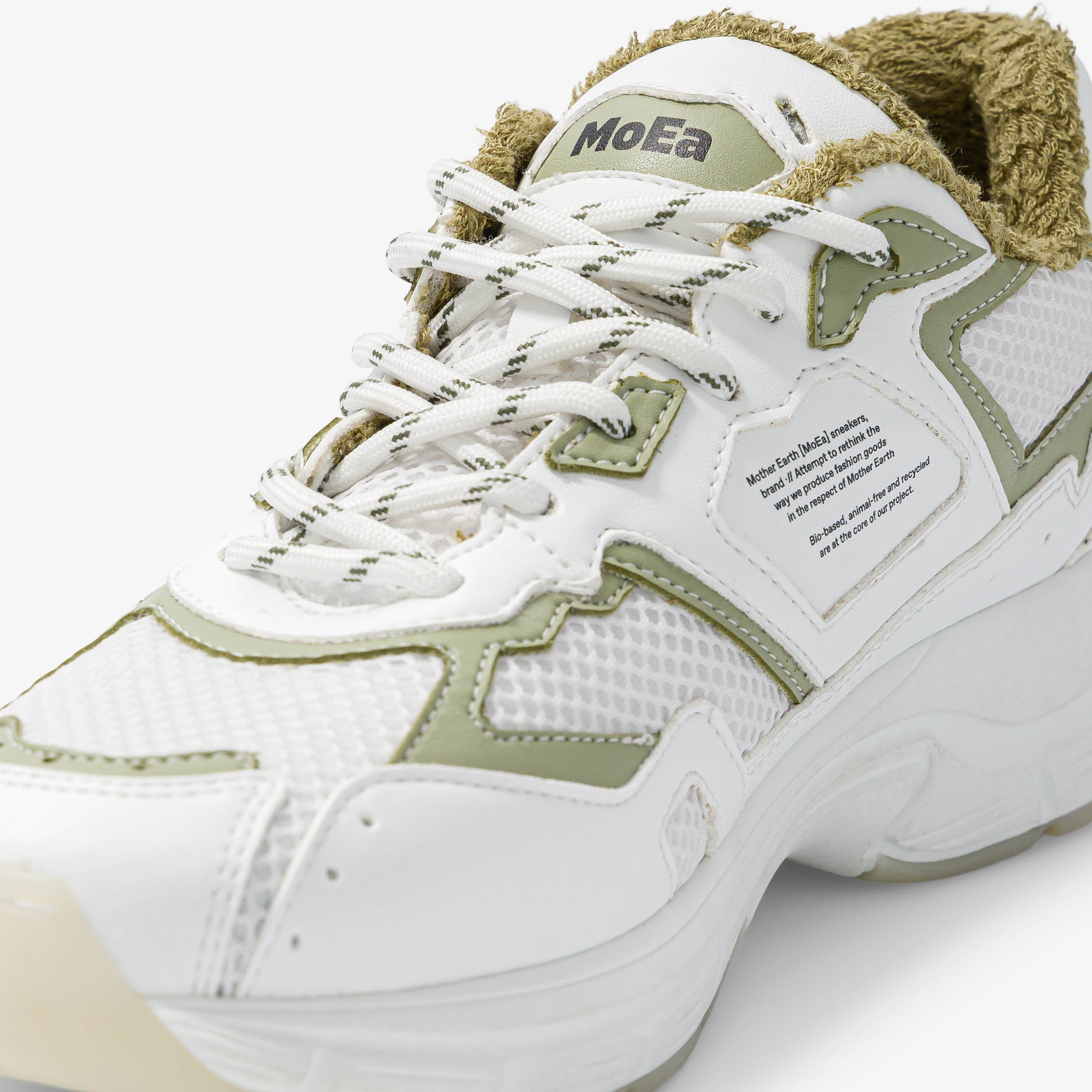 GEN8 - Cactus White & Aloe