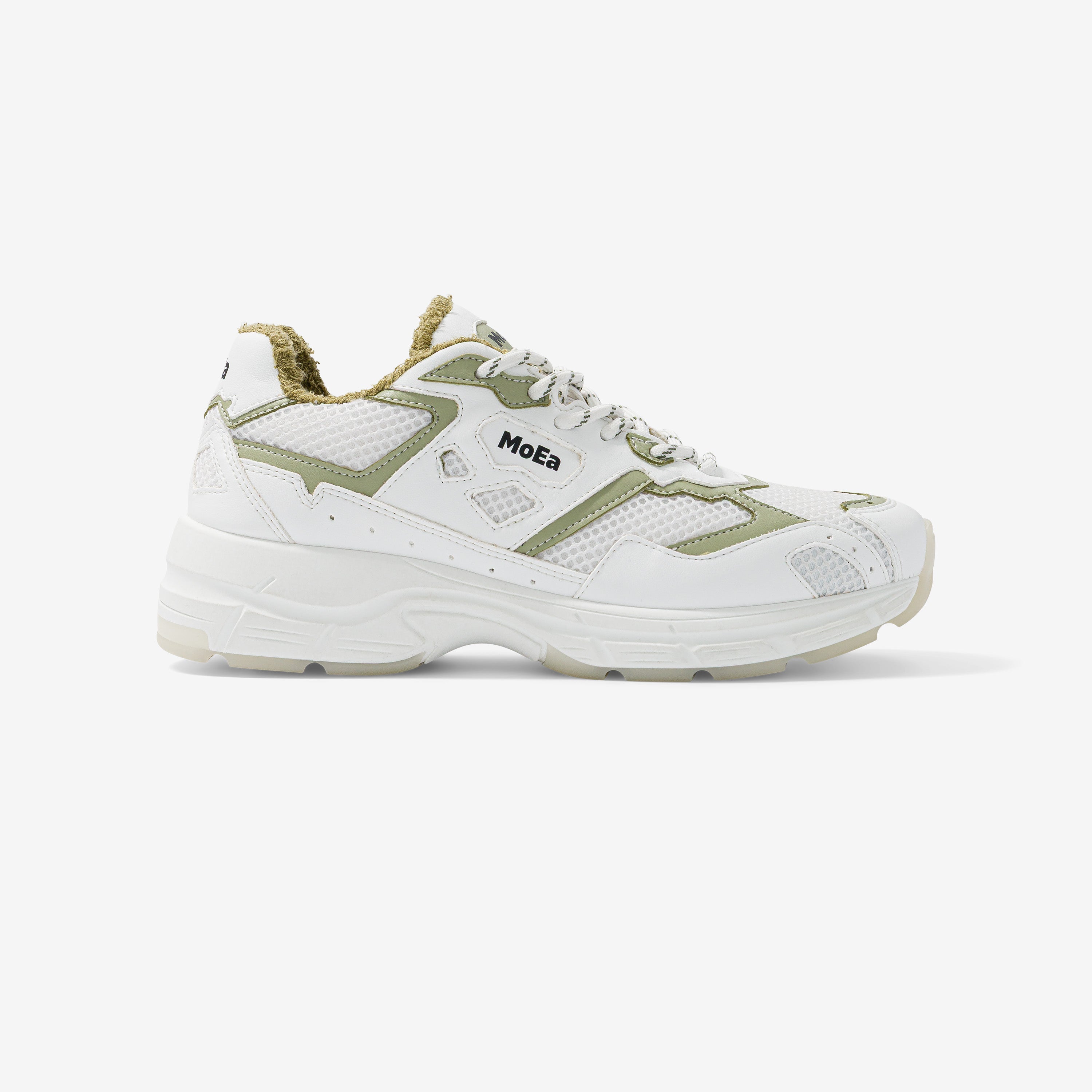 GEN8 - Cactus White & Aloe