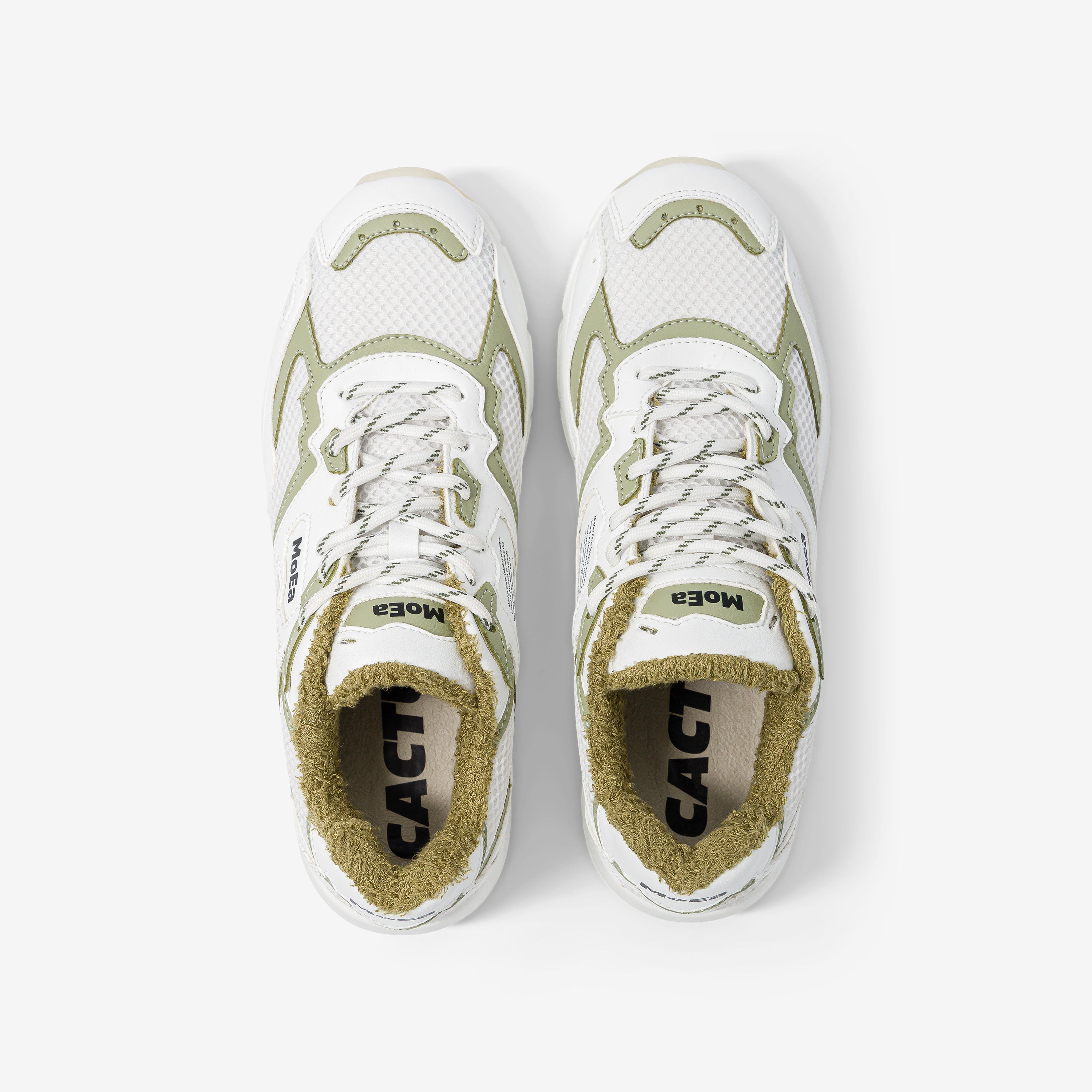 GEN8 - Cactus White & Aloe