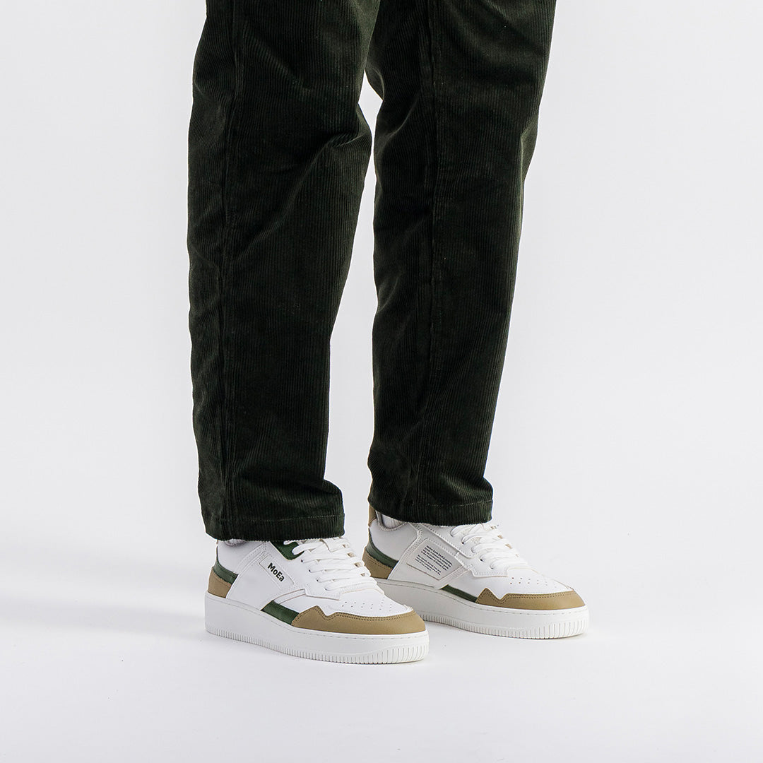 GEN1 - Cactus Tricolor