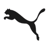 puma puma