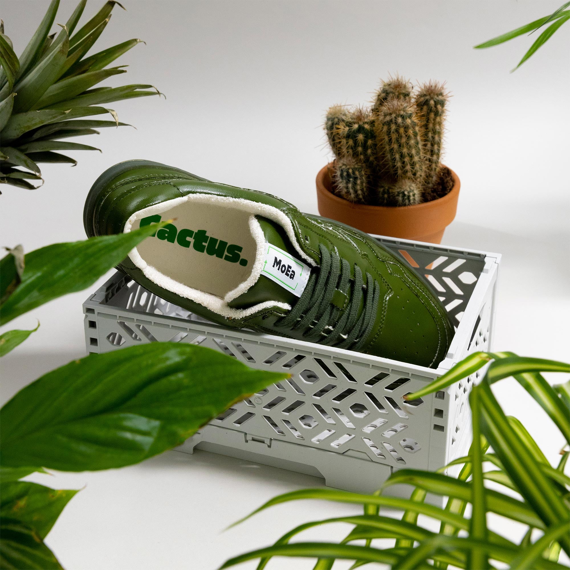 GEN1 - Cactus Full Green