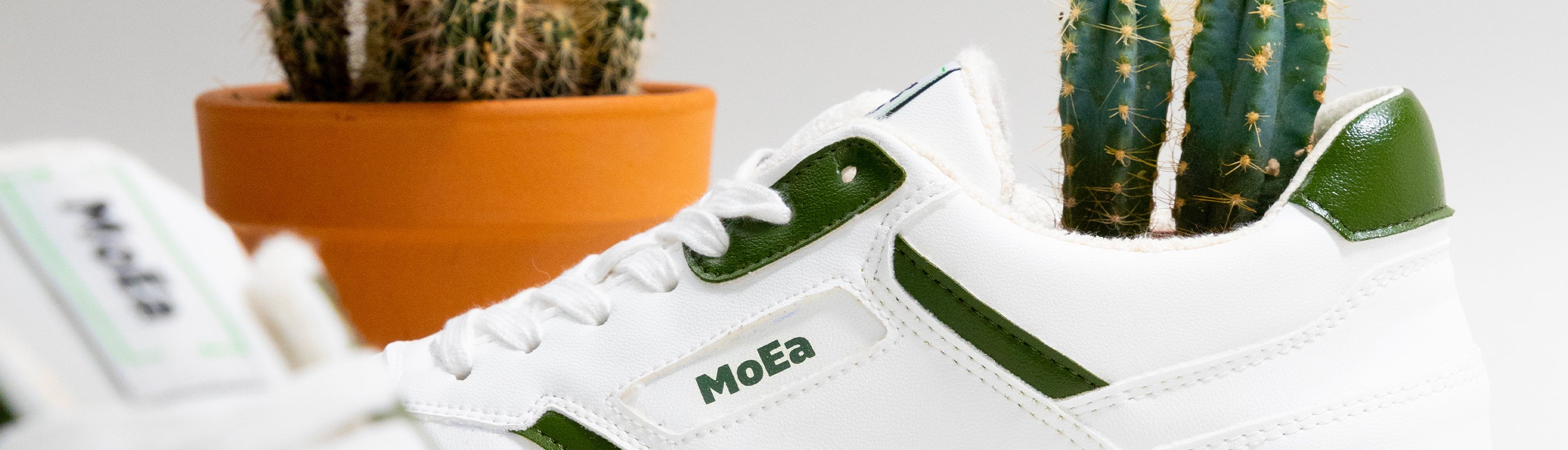 CACTUS SNEAKERS