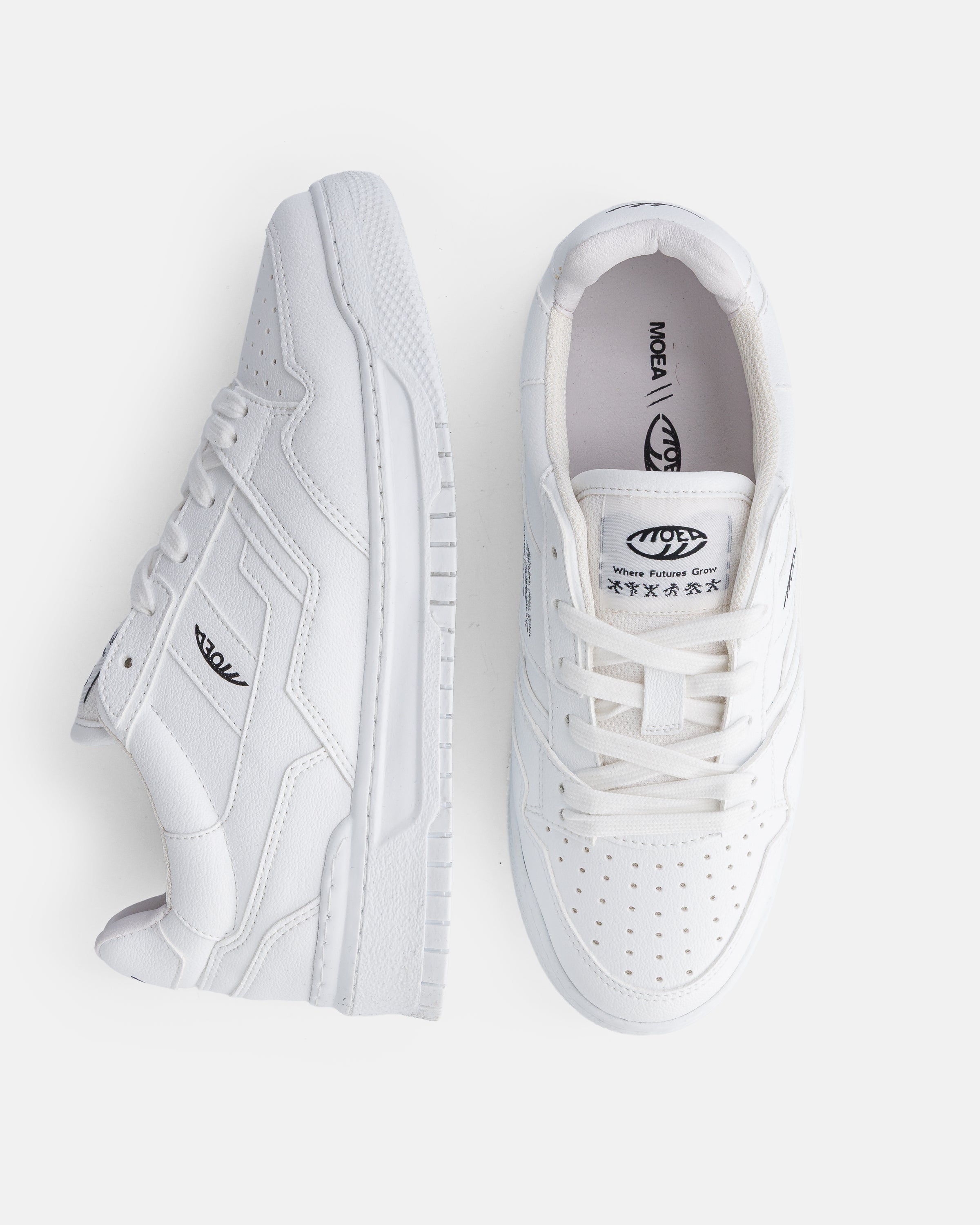 Echo - Full White Grnd - Corn