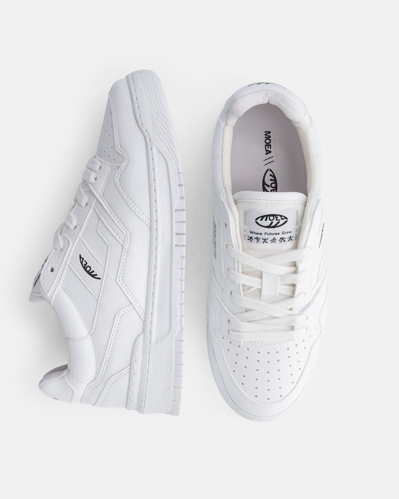 Echo - Full White Grnd - Corn