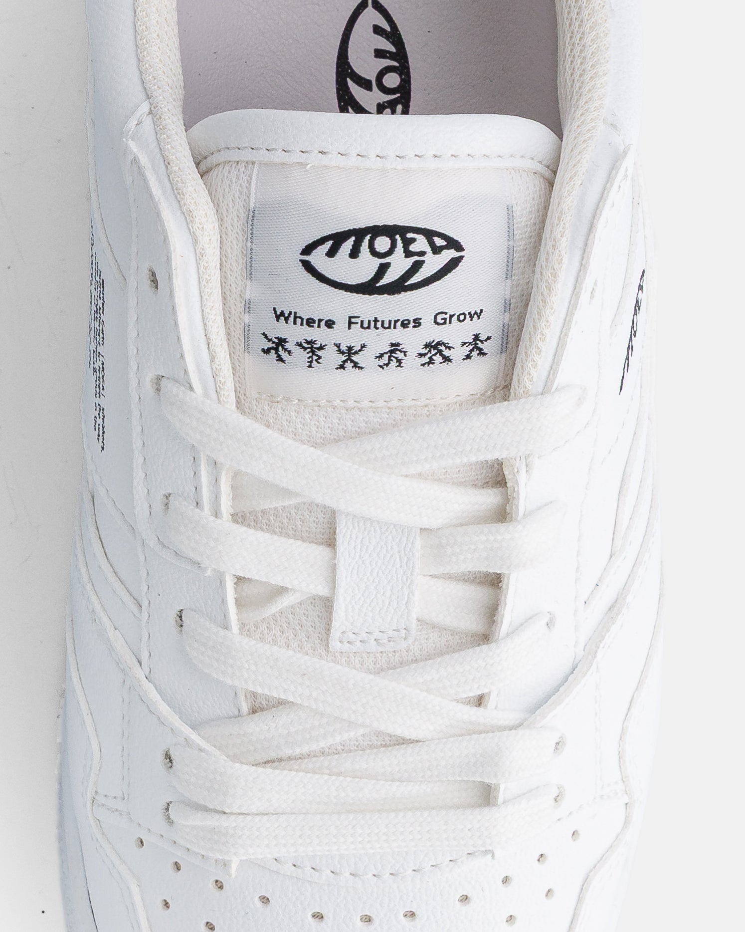 Echo - Full White Grnd - Corn