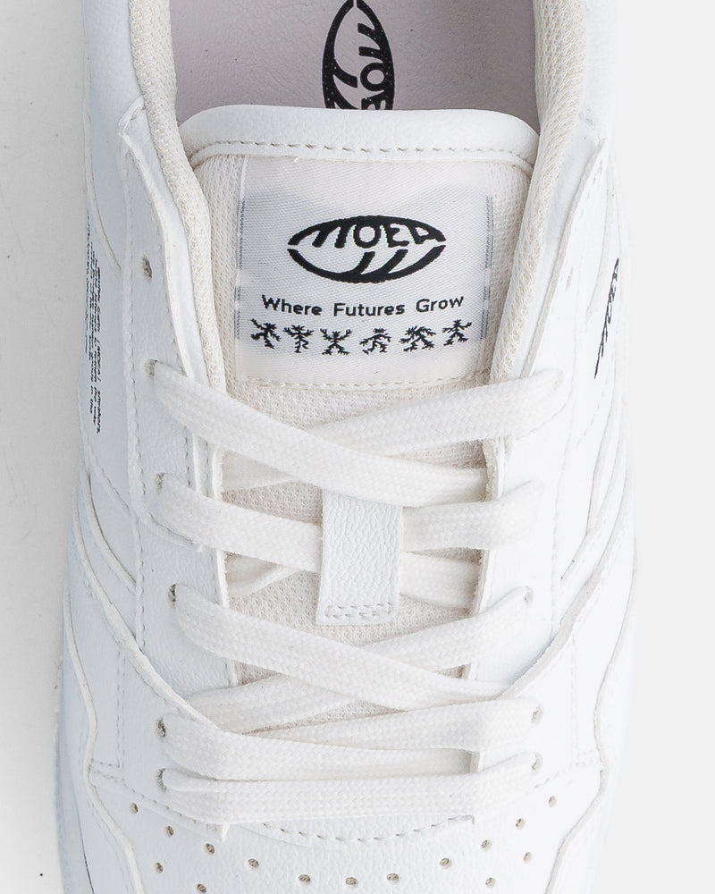 Echo - Full White Grnd - Corn