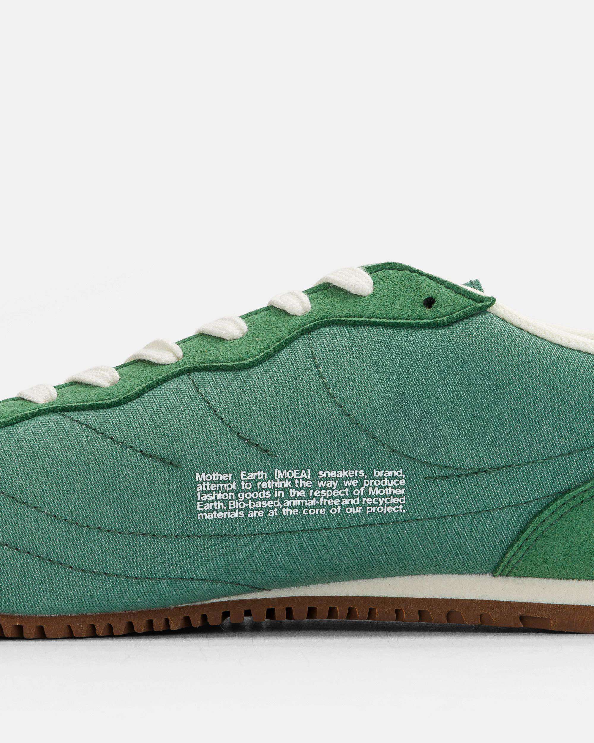 Rise - Green & Red - Corn