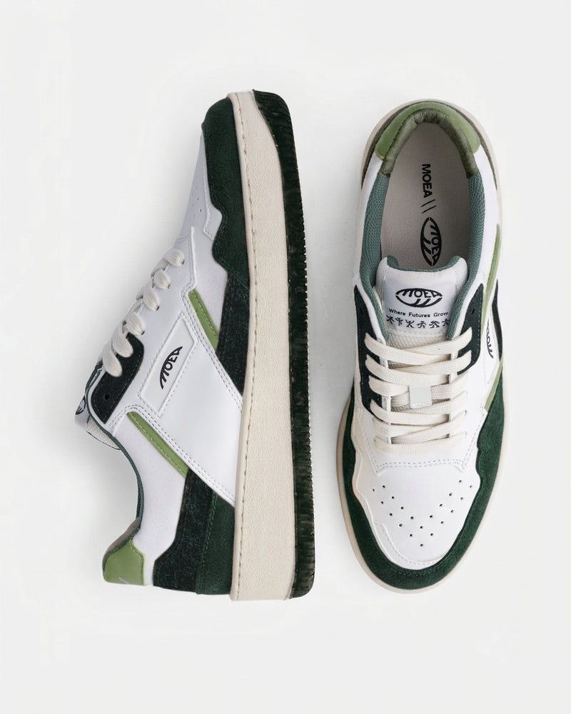 Origin - Green Combo - Palm
