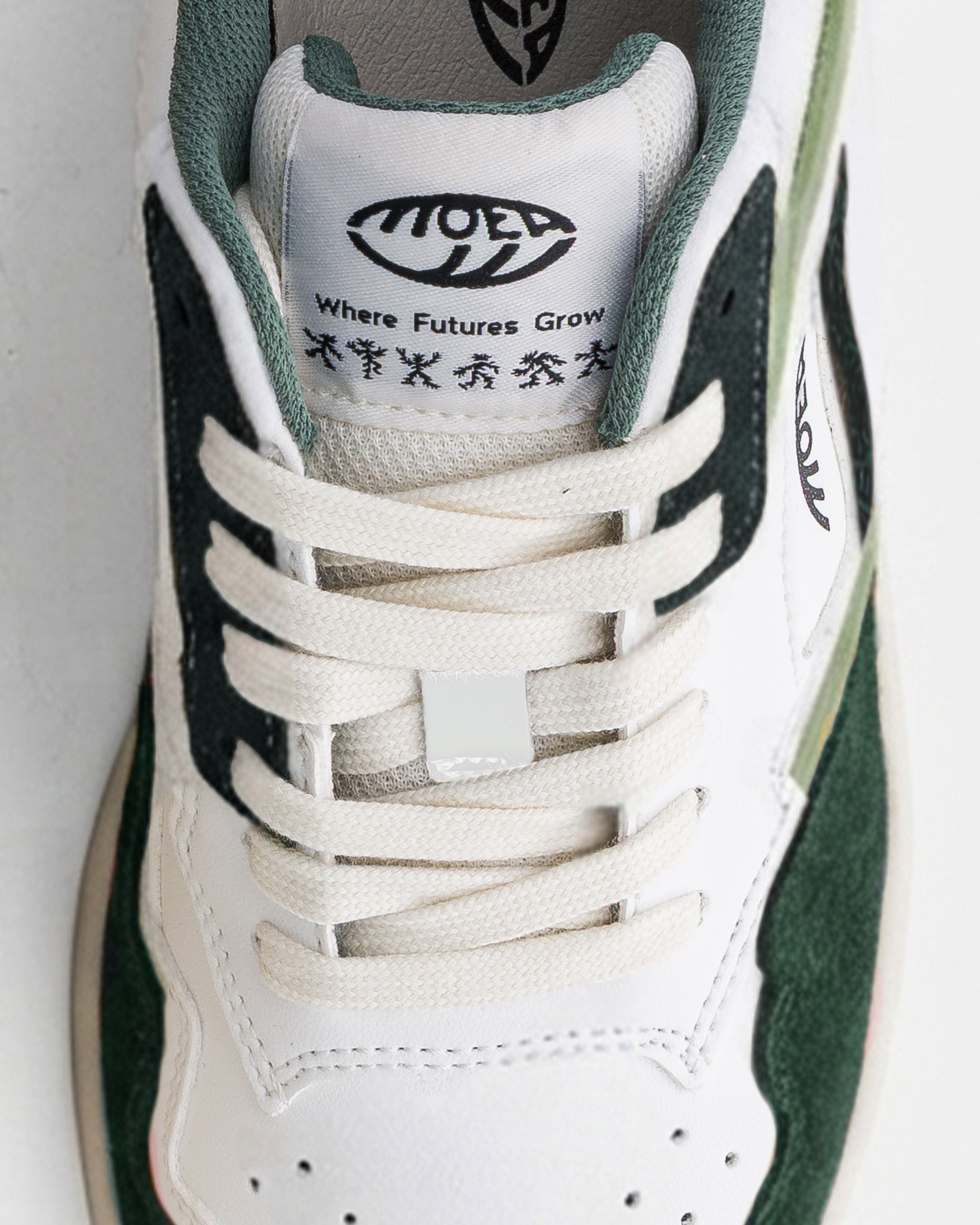Origin - Green Combo - Palm