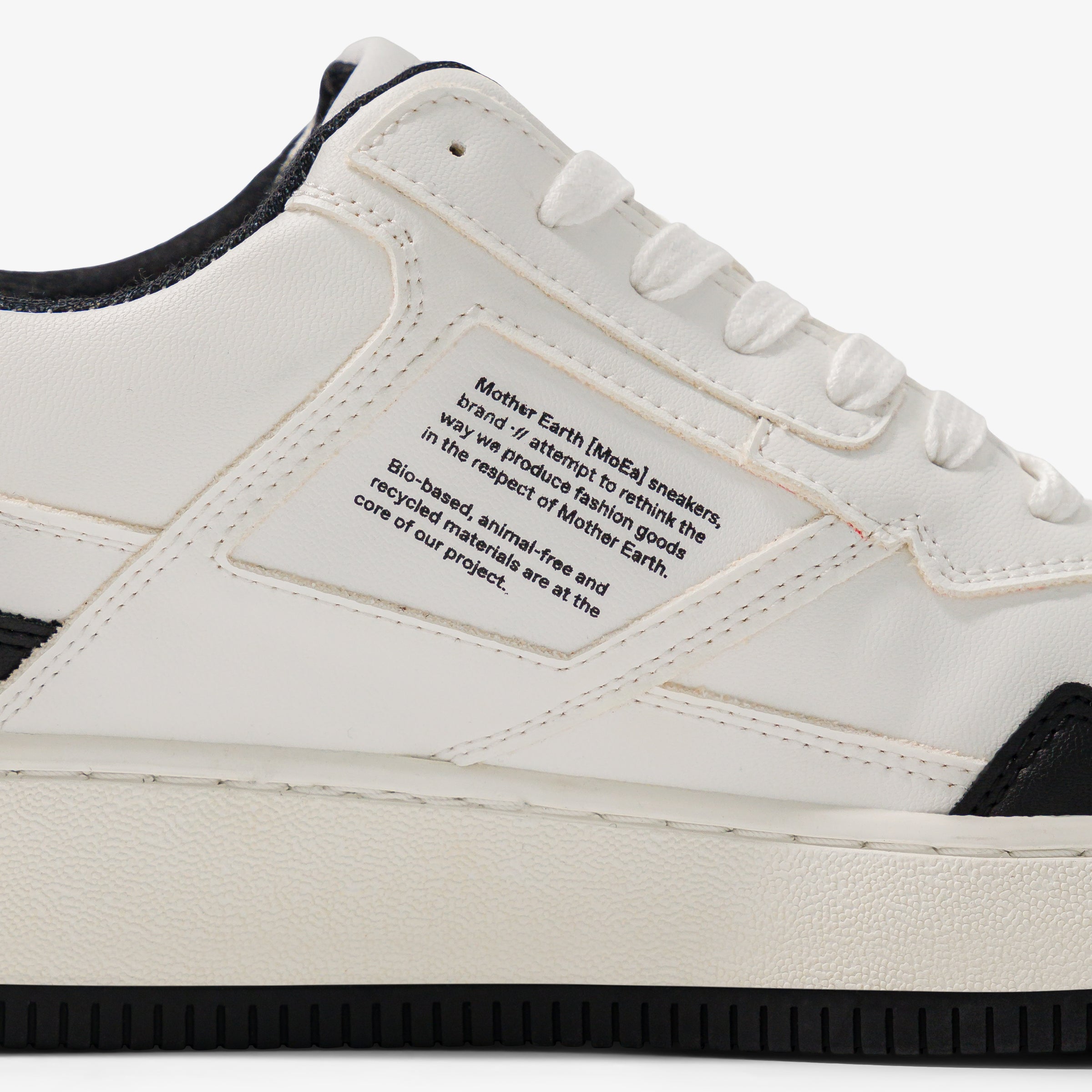 GEN1 - Grapes White & Black