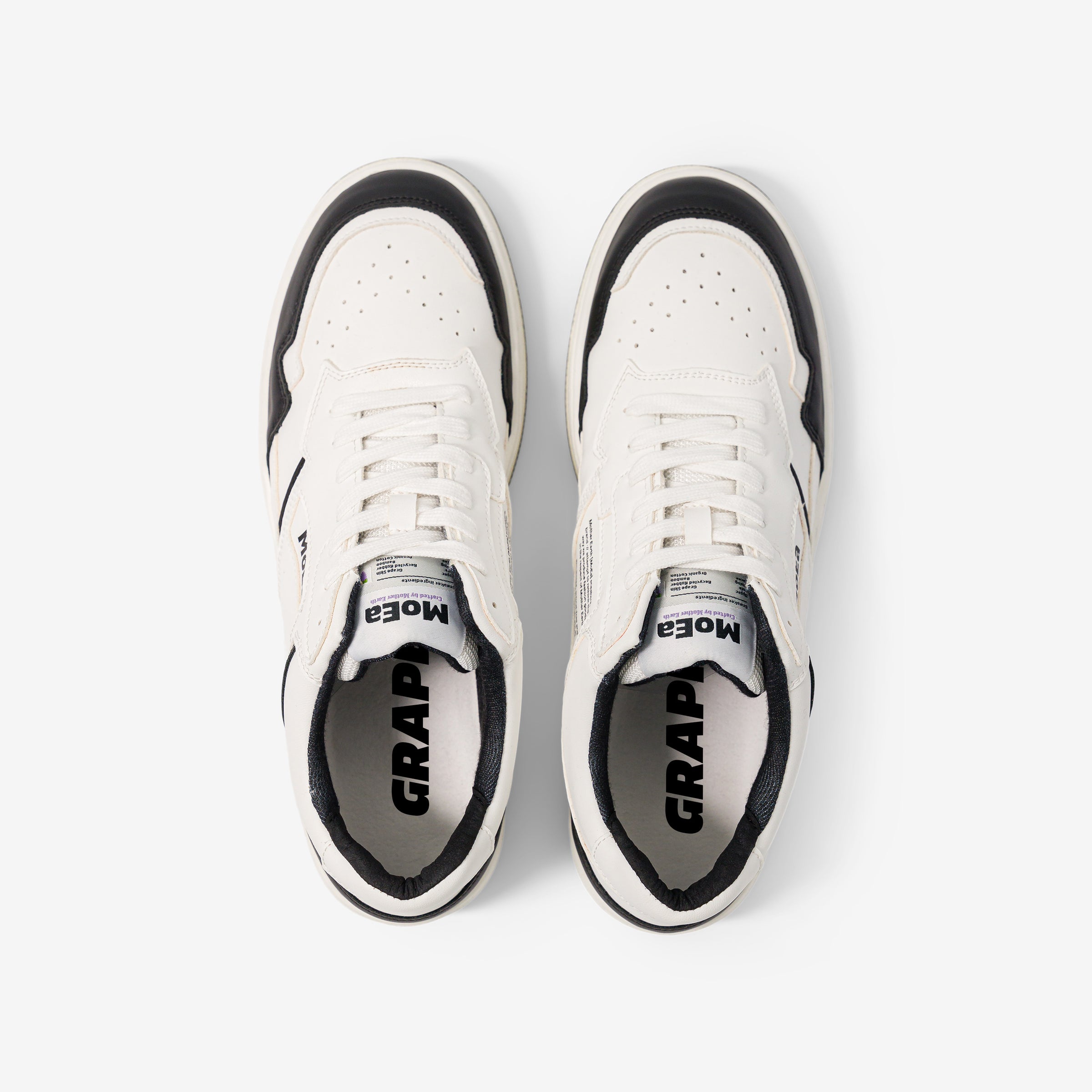 GEN1 - Grapes White & Black