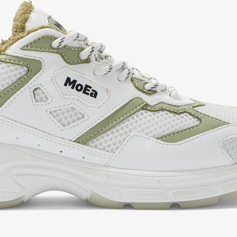 GEN8 - Cactus White & Aloe