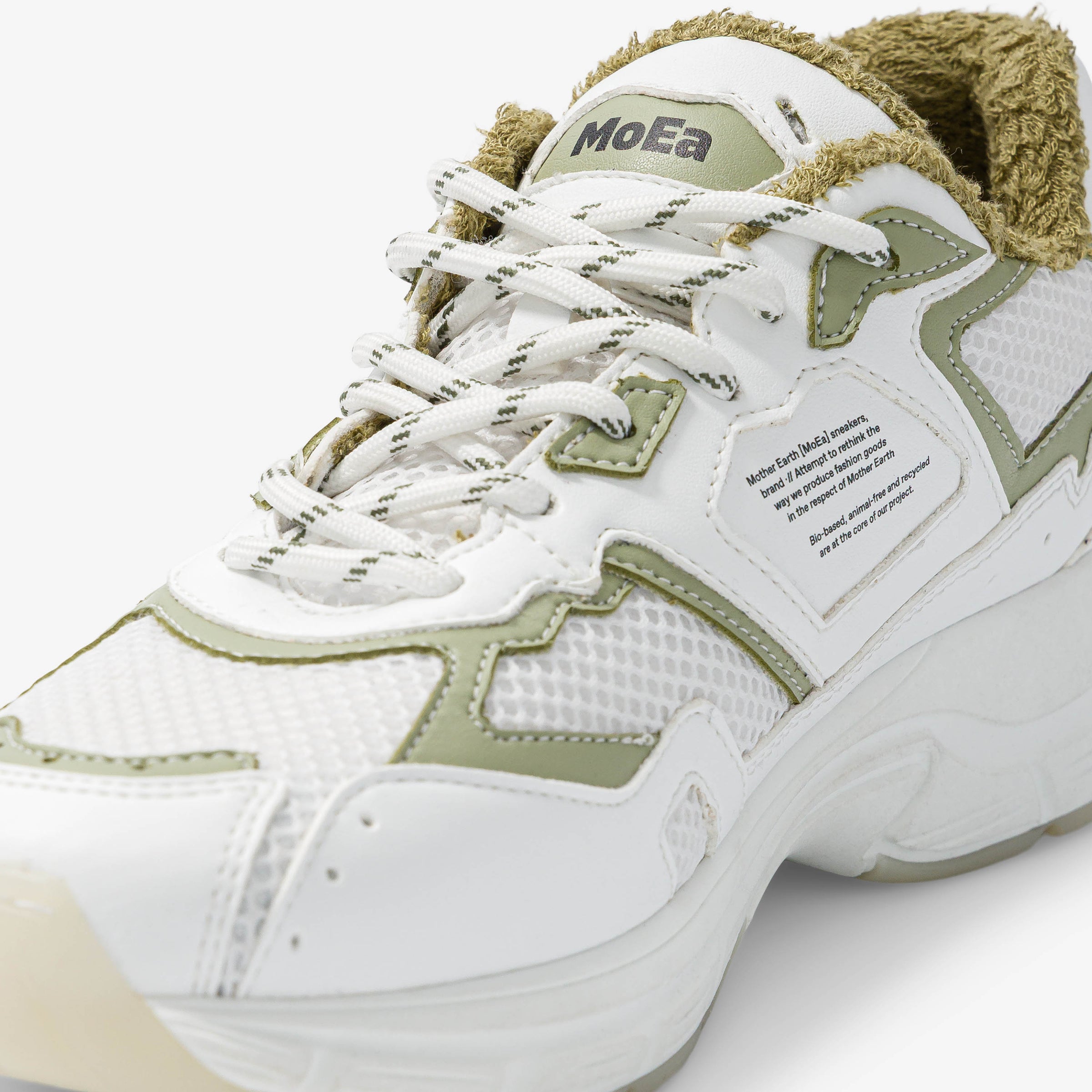 GEN8 - Cactus White & Aloe