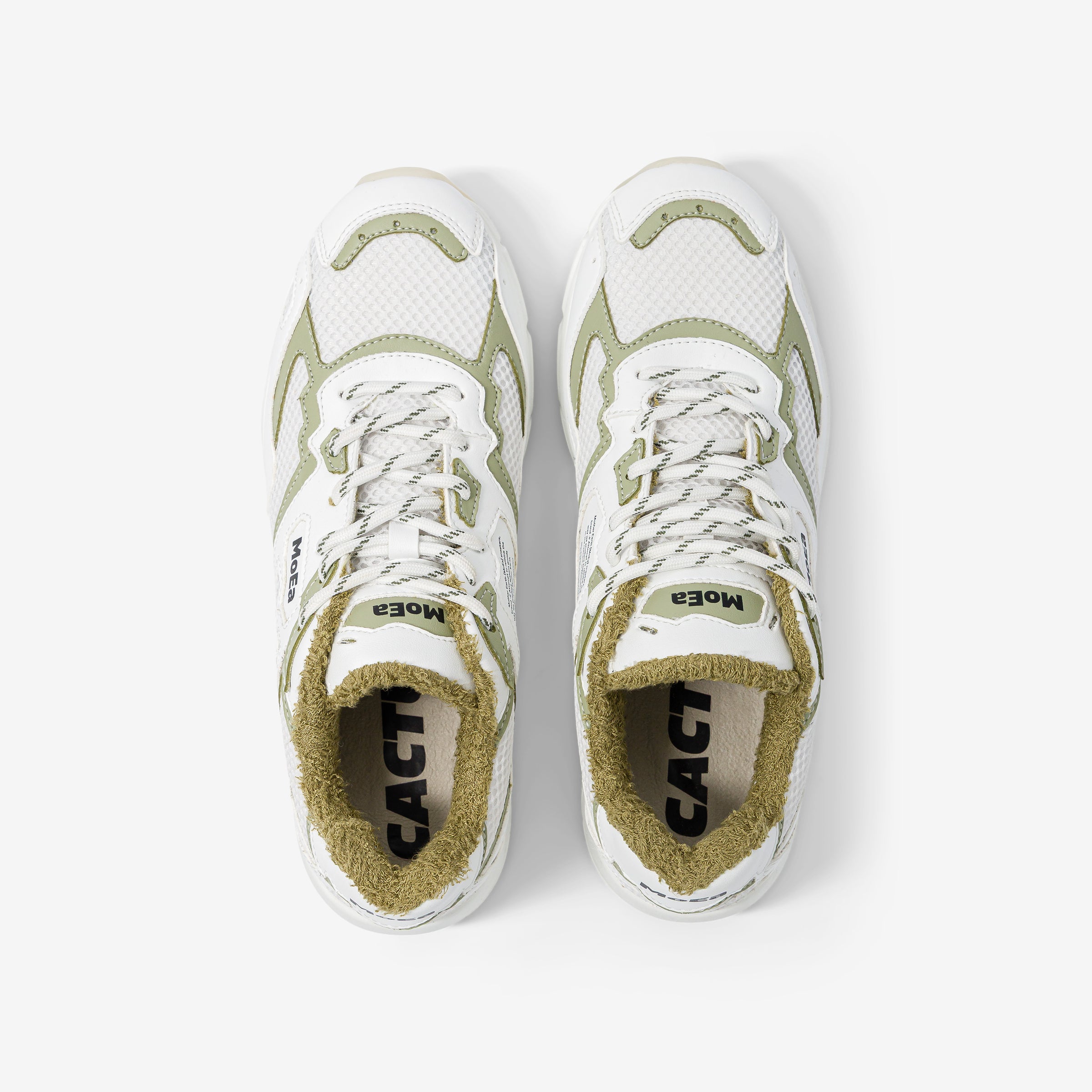 GEN8 - Cactus White & Aloe