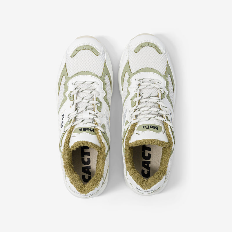 GEN8 - Cactus White & Aloe