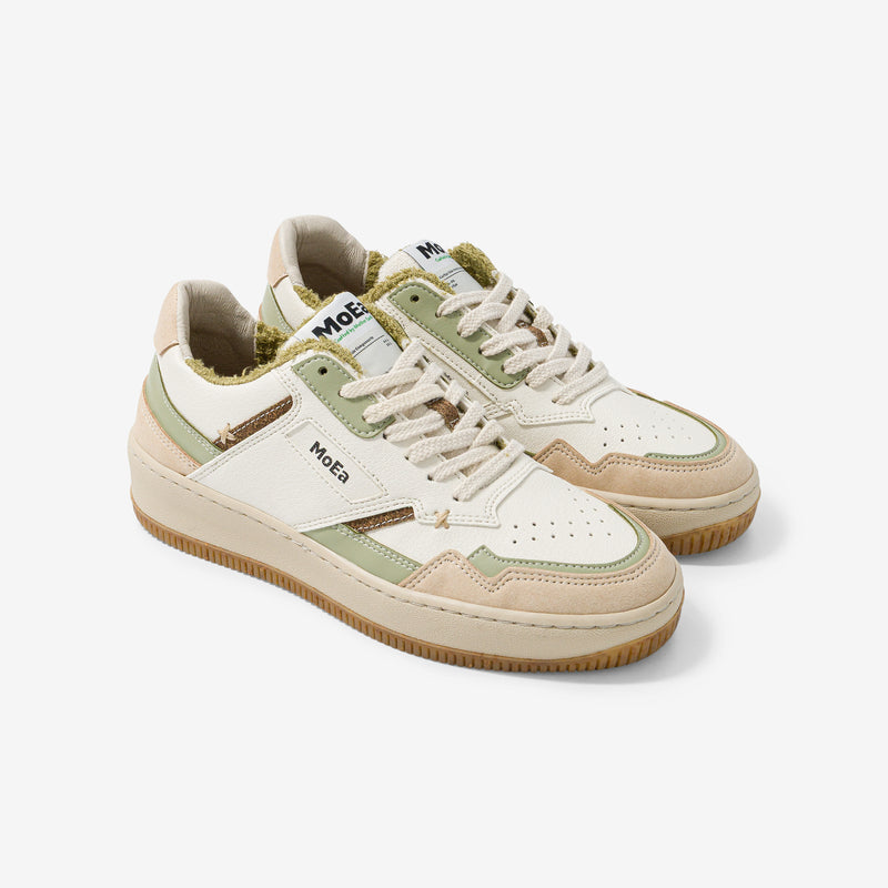 GEN1 - Cactus Aloe Natural