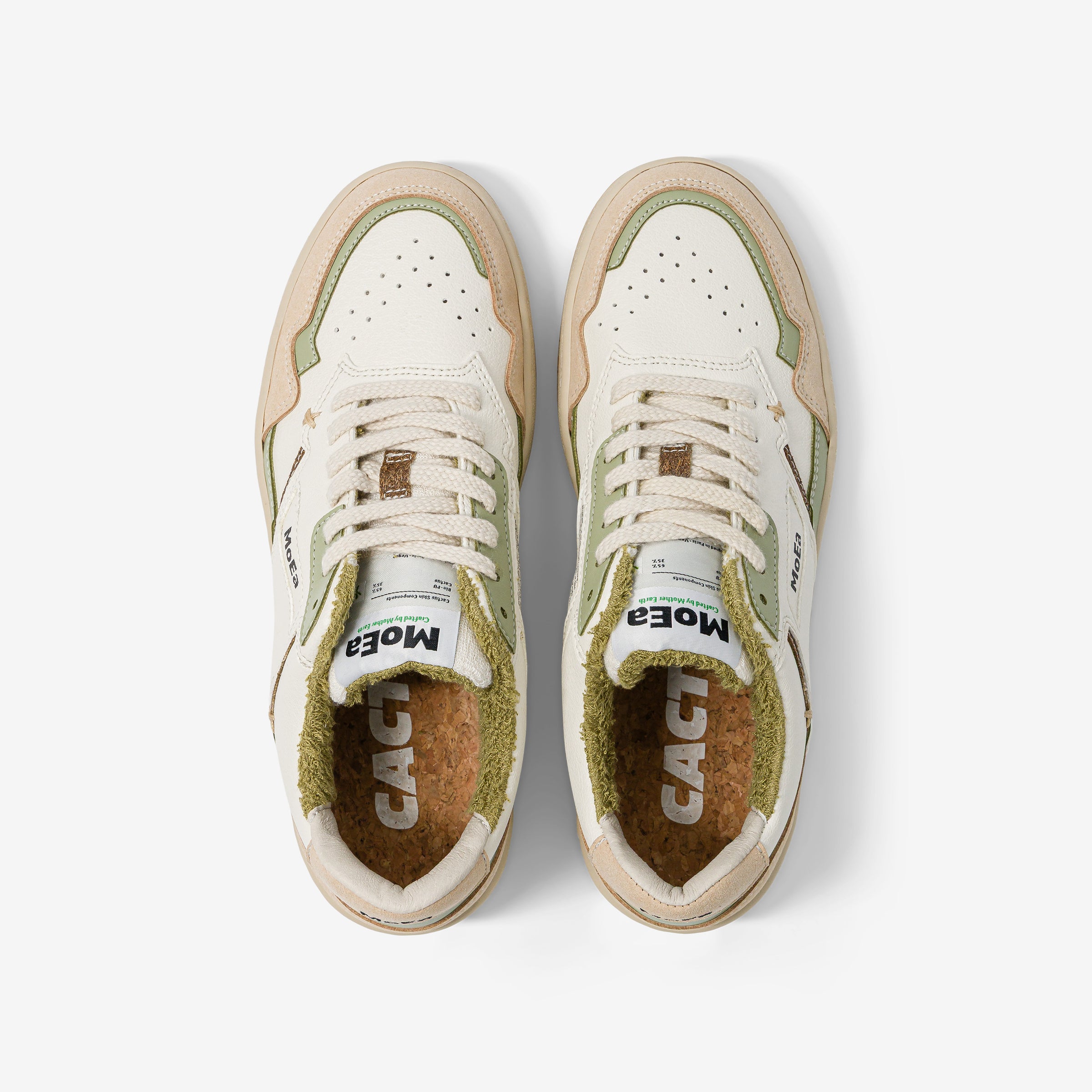 GEN1 - Cactus Aloe Natural