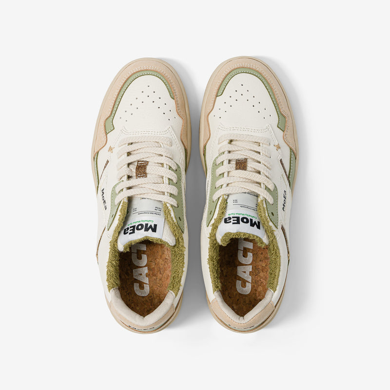 GEN1 - Cactus Aloe Natural