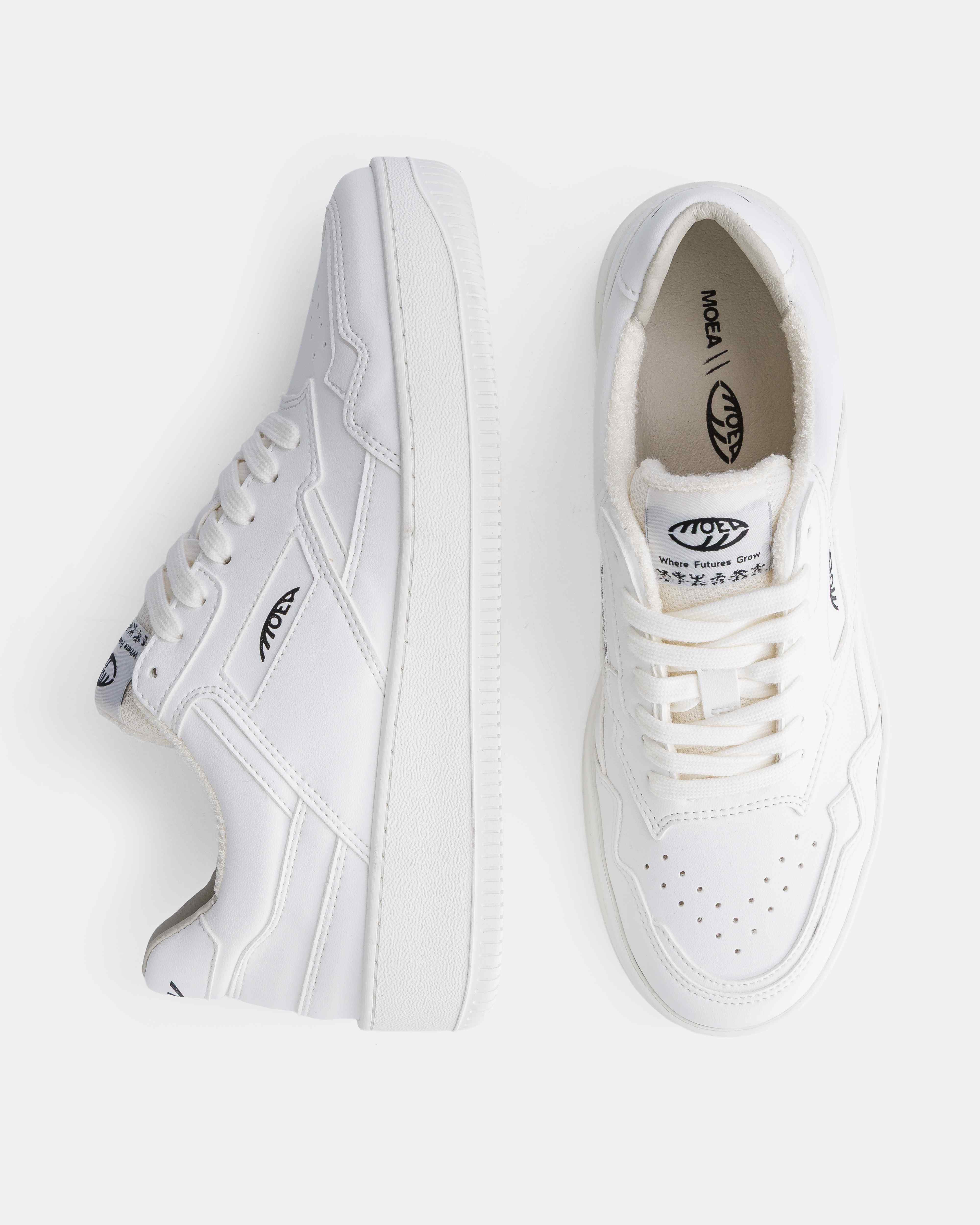 Origin - Full White - Corn