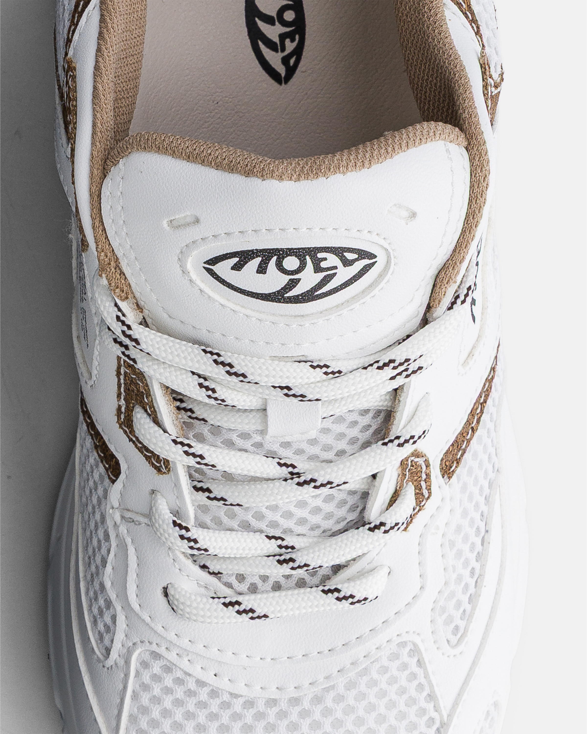 Rush - White & Brown - Palm