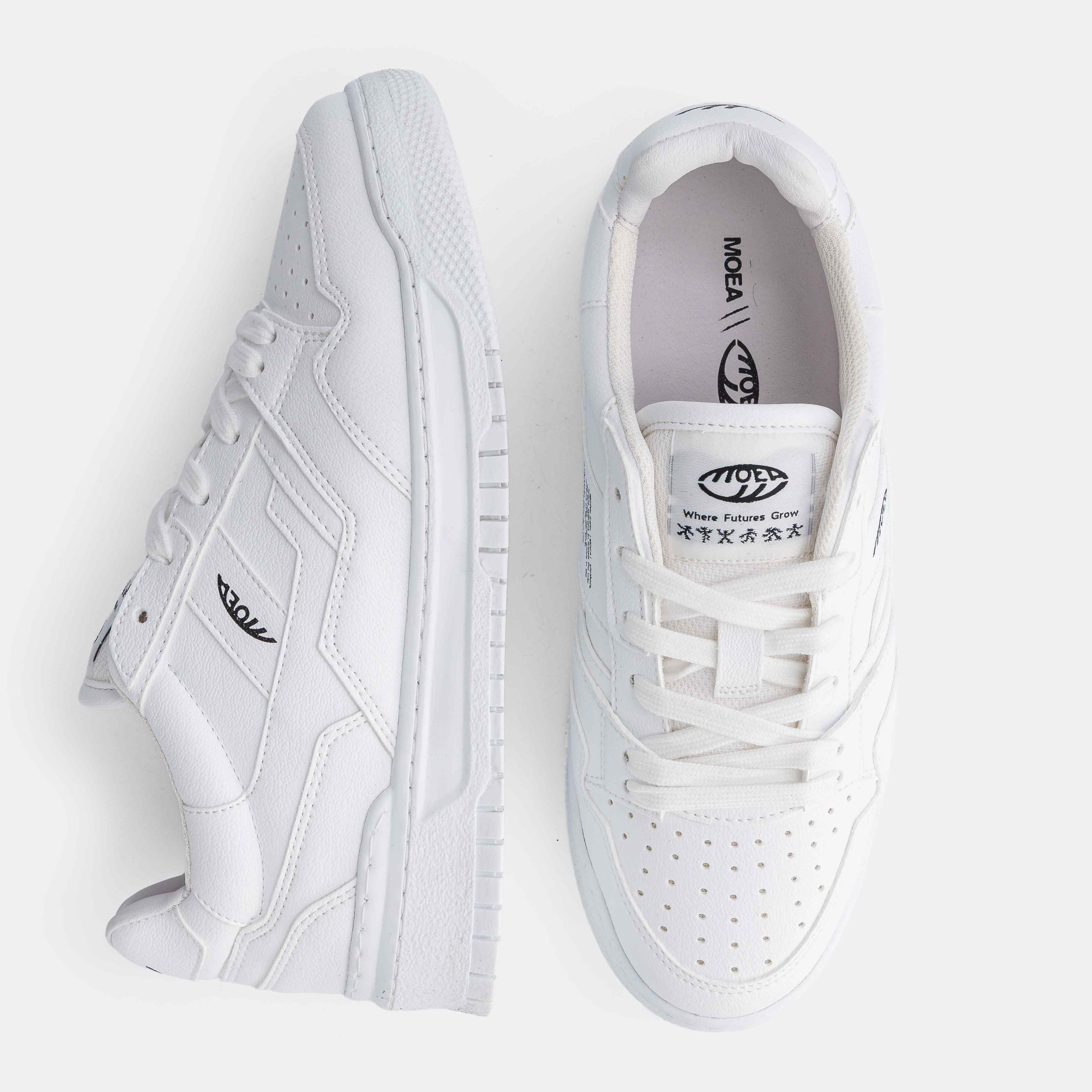 Echo - Full White Grnd - Corn