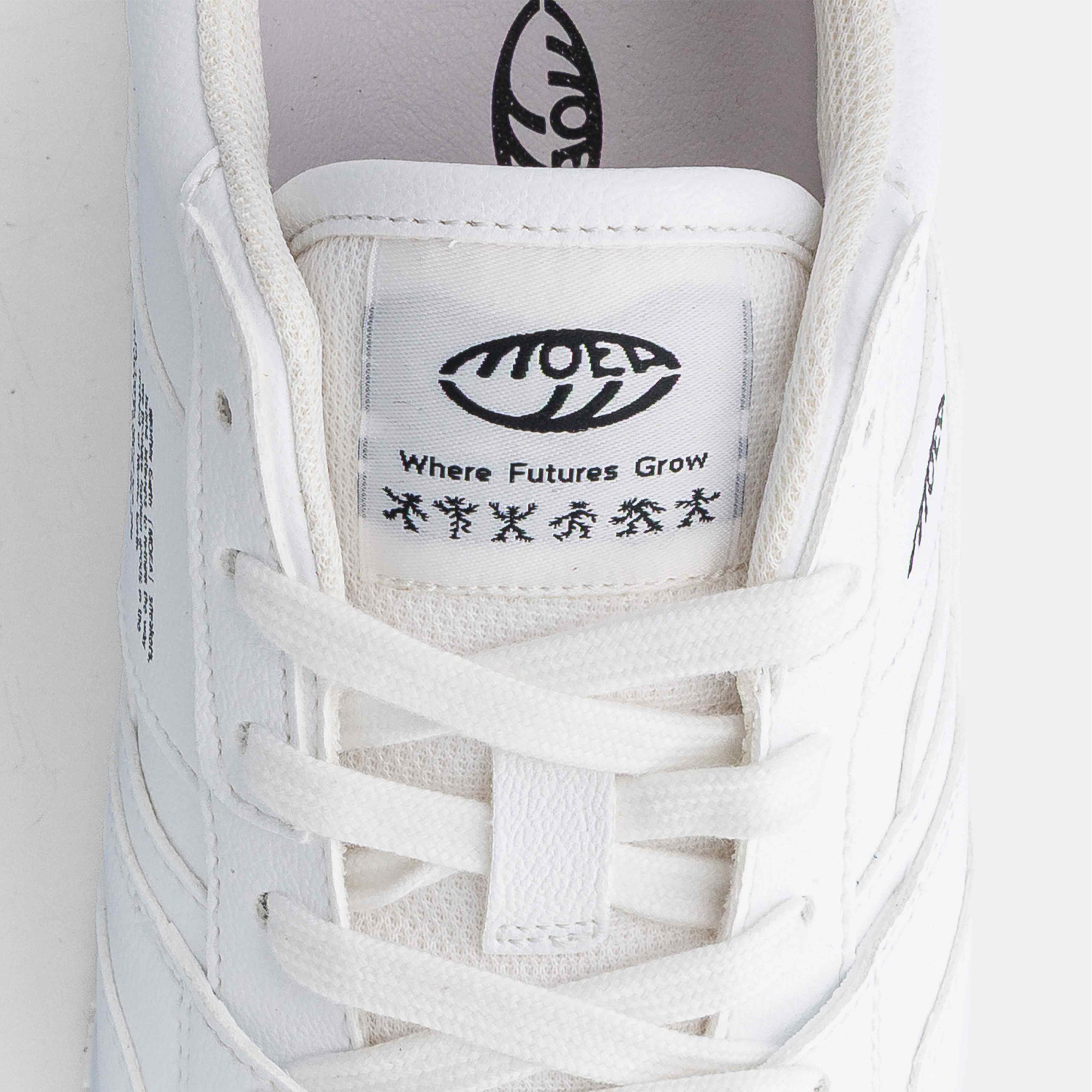 Echo - Full White Grnd - Corn