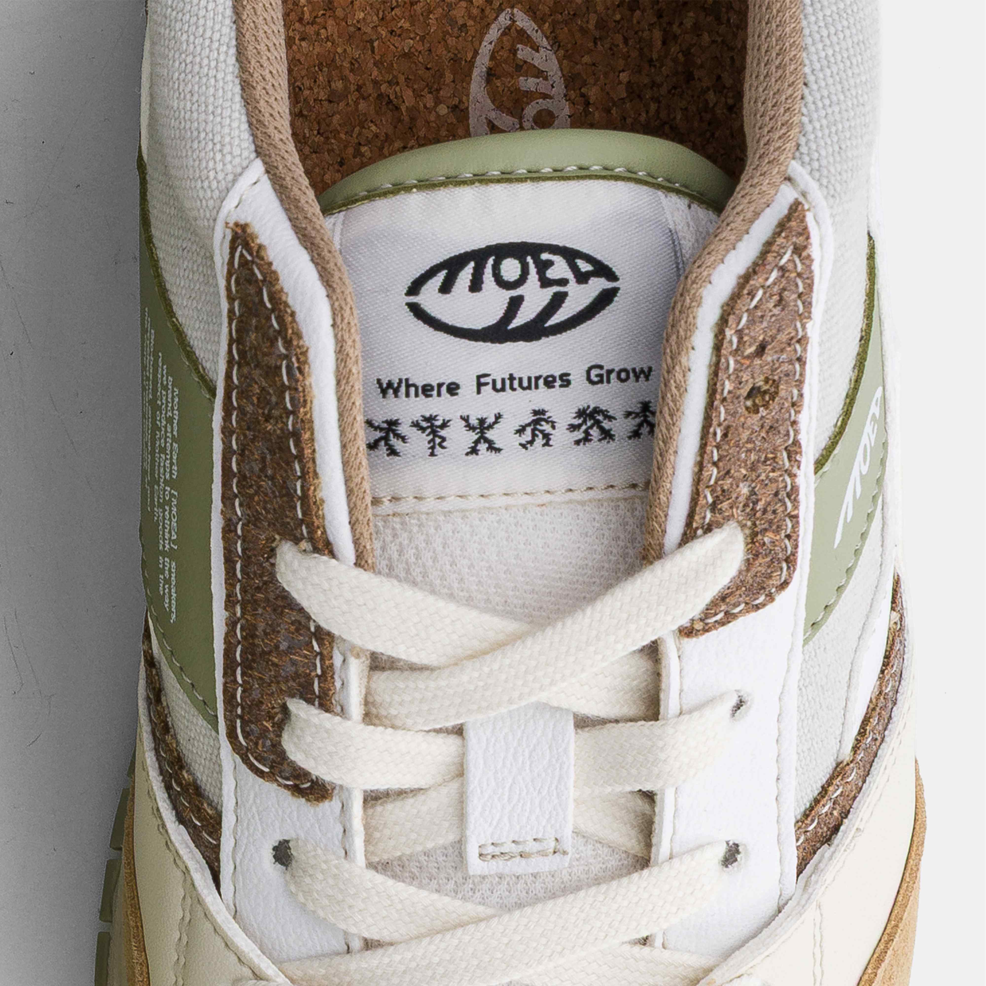 Echo - Brown & Aloe - Palm